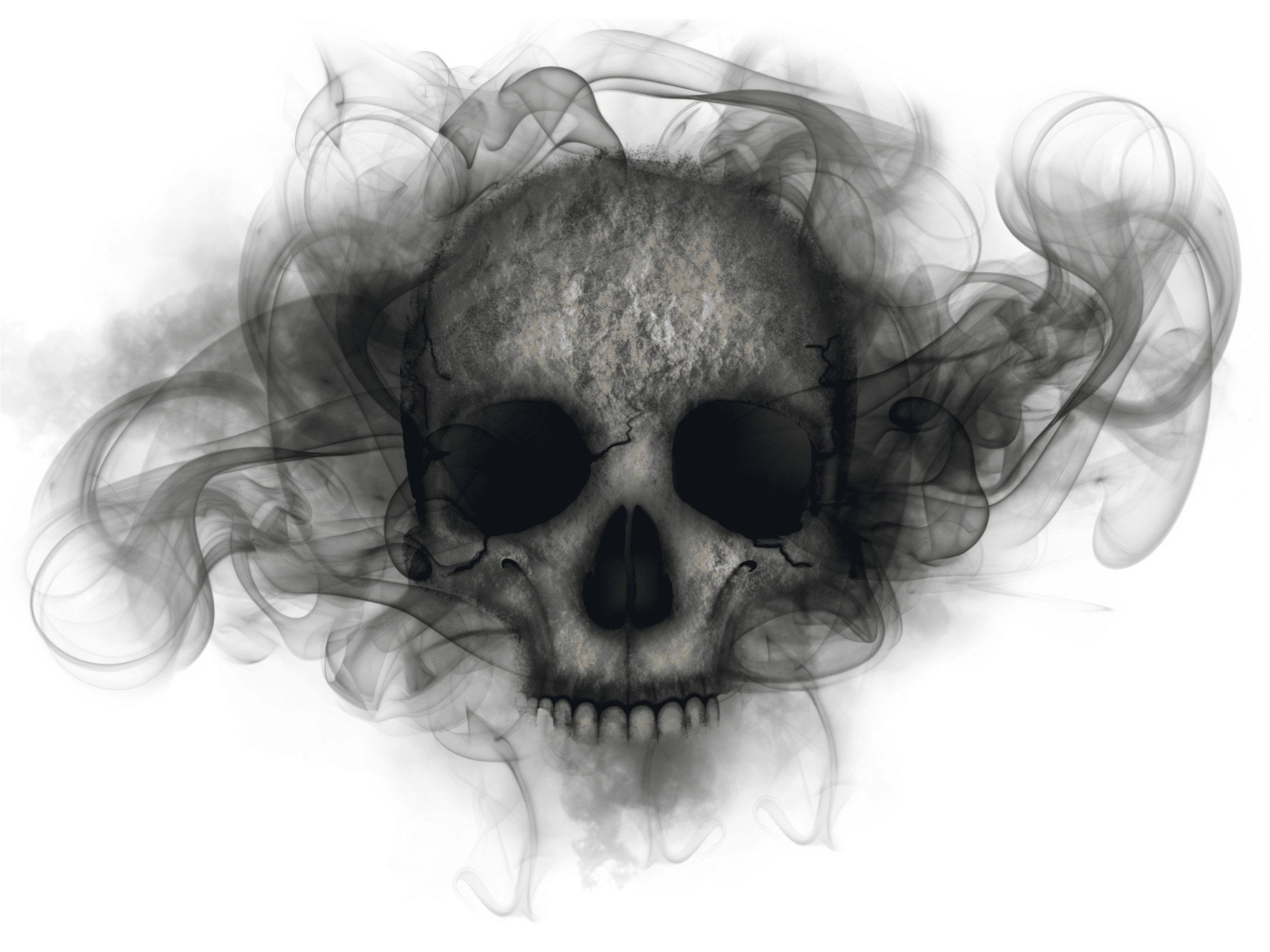 Mist Thief skull